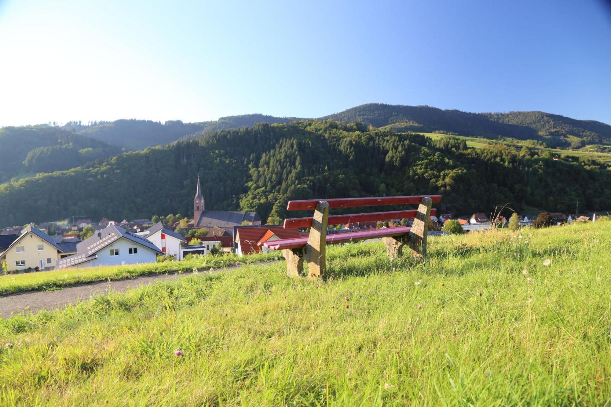 Appartement Schwarzwaldstuble Oberharmersbach Extérieur photo